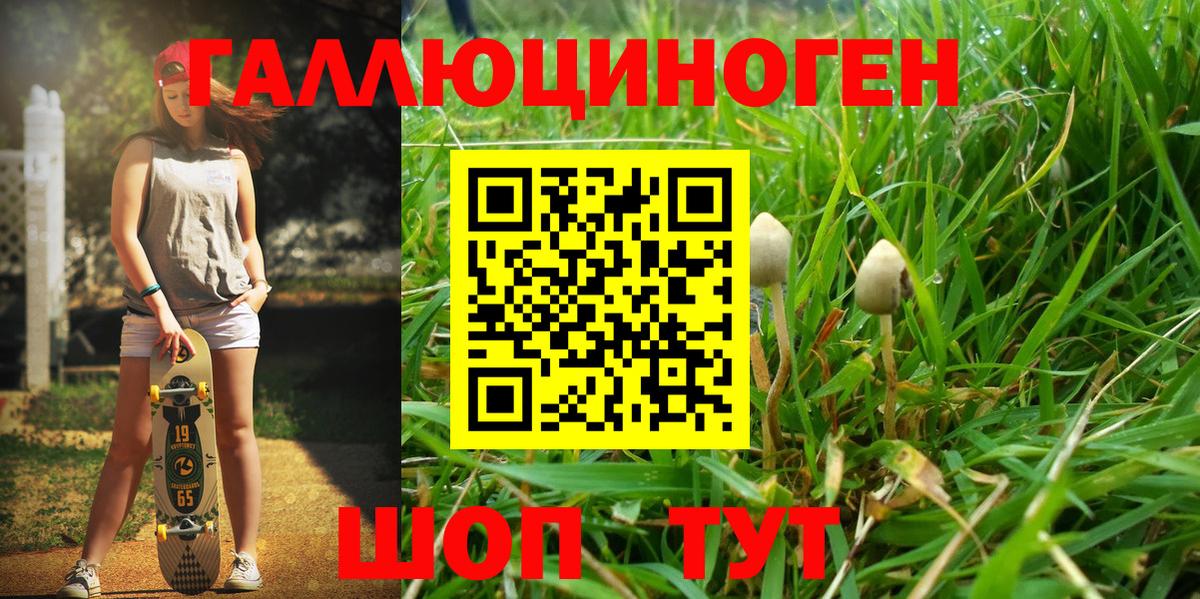 наркота  Галлюциногенные грибы MAGIC MUSHROOMS  Галлюциногенные грибы ЛСД  Вход с VPN  Усолье-Сибирское 